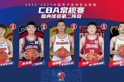 星空体育中国-多伦多猛龙对纽约视频直播