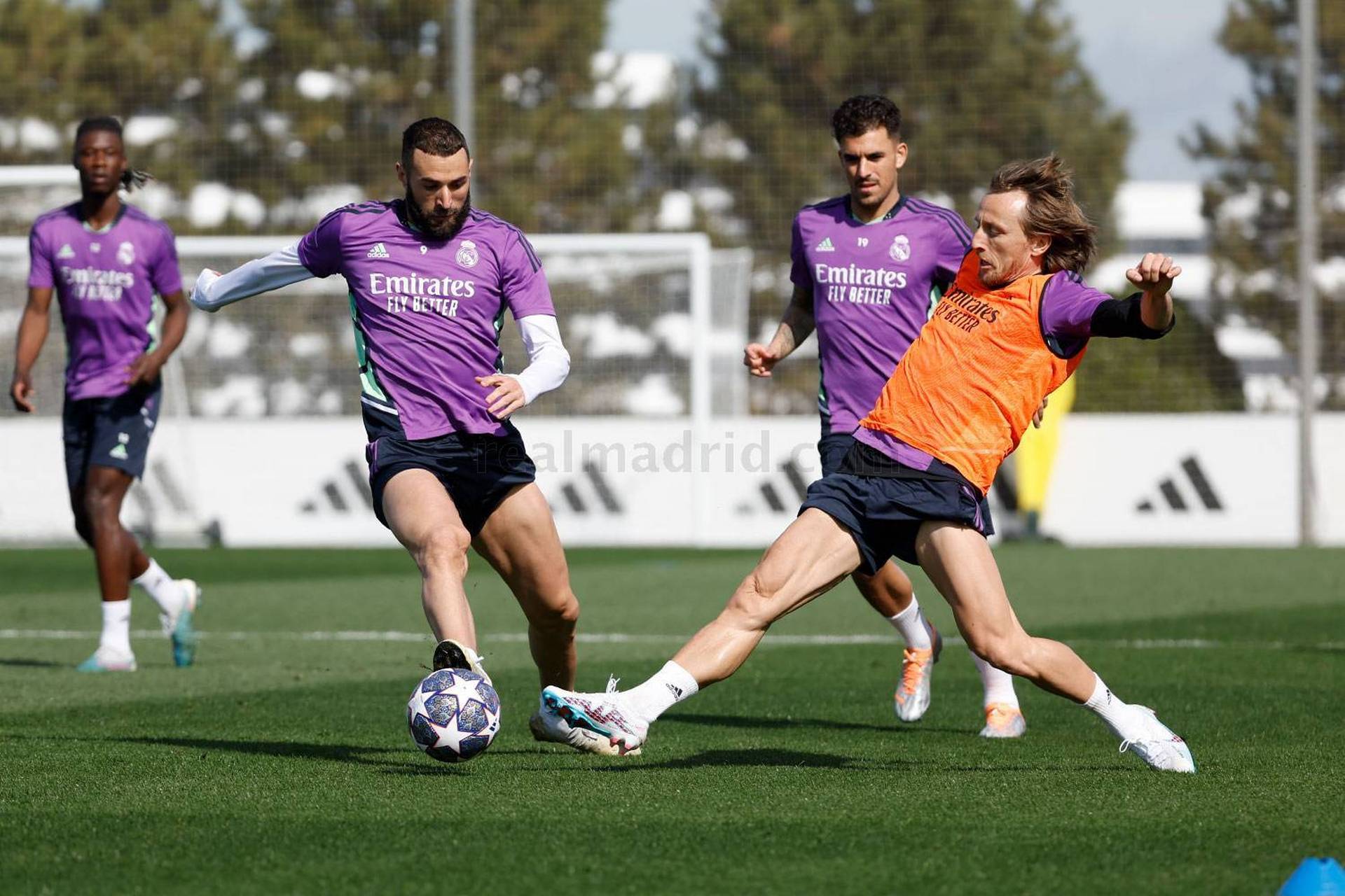 包含今晨体能课后，成都蓉城更衣室发声备战欧冠，引发热议，高层口径保持一致的词条