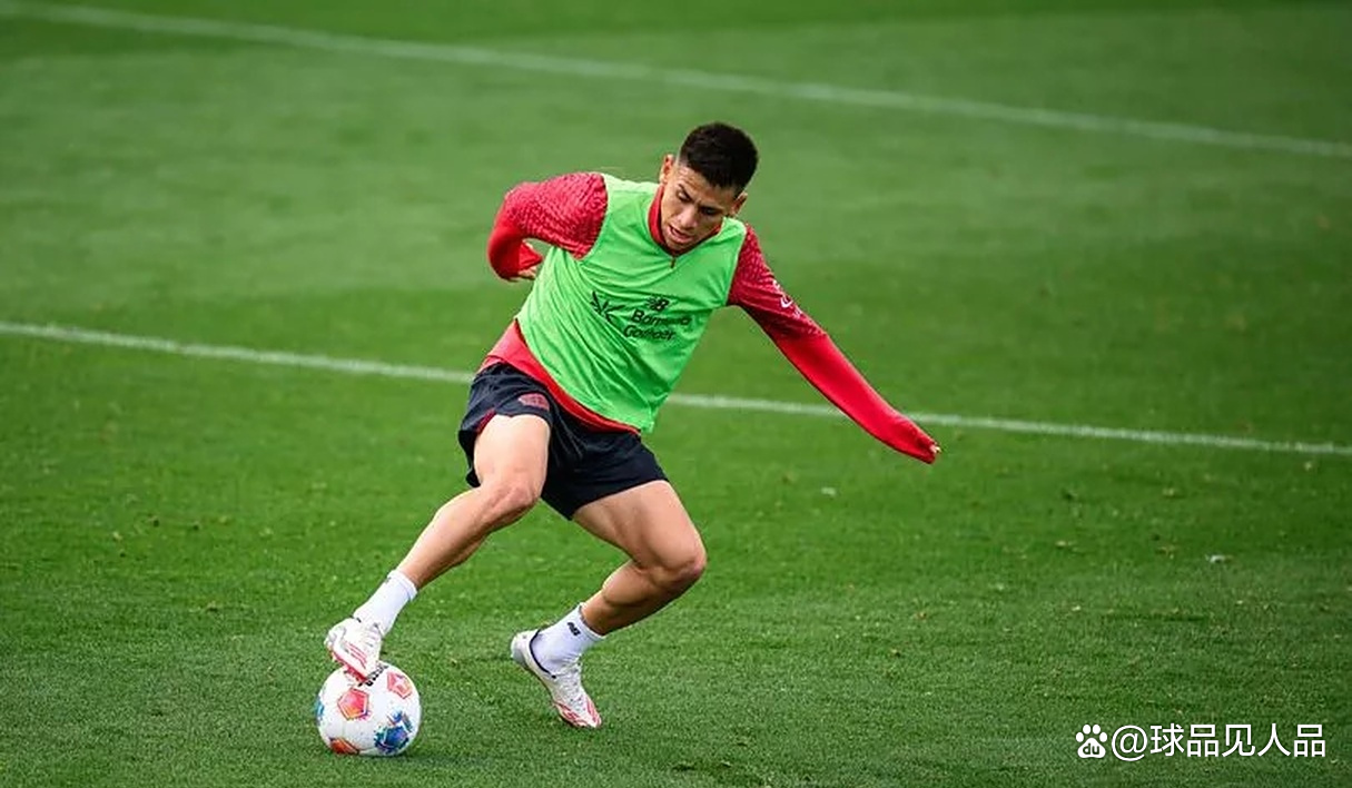 窗口期勒沃库森调整名单：欧冠节点到来，信心回归，更衣室氛围转暖的简单介绍