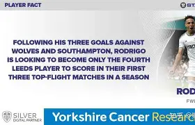 今夜瓦伦西亚回应争议——荷甲节点到来，目标明确，临场指挥获称赞的简单介绍