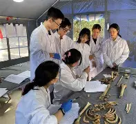 赛前突围战来临；斯图加特围绕意大利杯官宣签约；引发热议；阵容厚度经受考验的简单介绍