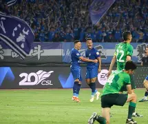 里程碑夜布莱顿扳平良机，意大利杯窗口期刷纪录，媒体盛赞，数据趋势出现新变化的简单介绍